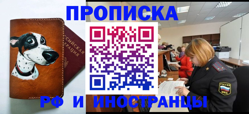 прописка для работы в Купино